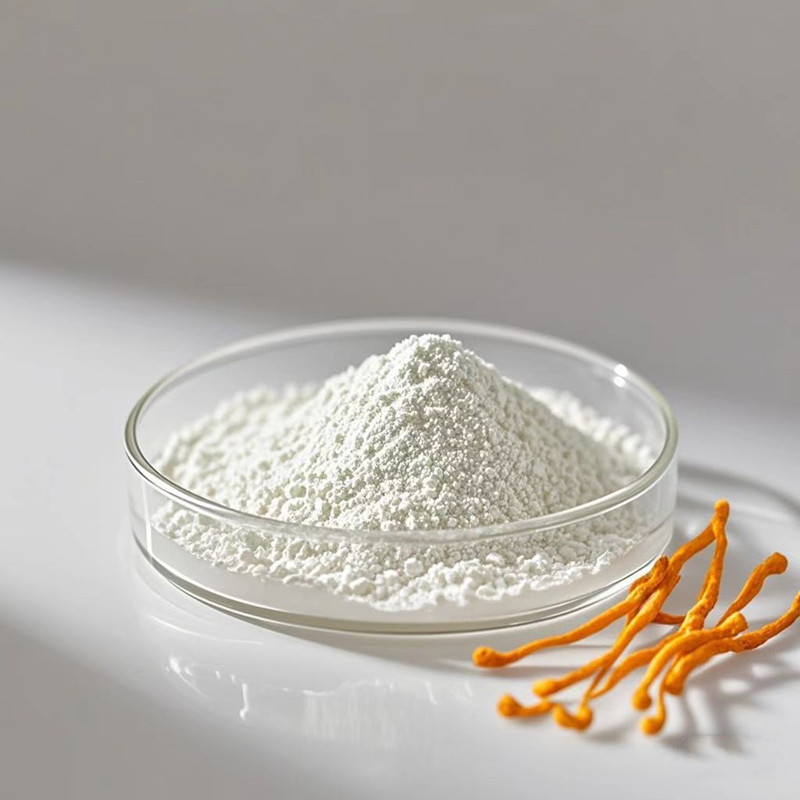 High-Purity Cordyceps Extract supplier